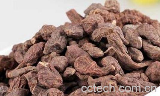 甘南人参果的功效与作用-0