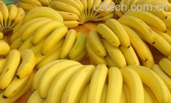 香蕉的作用和功效 吃香蕉的禁忌-0
