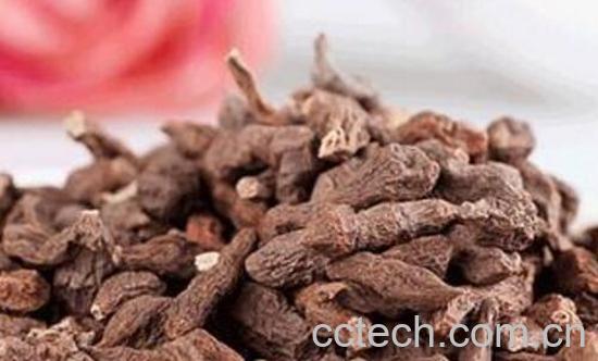 甘南人参果的功效与作用-1