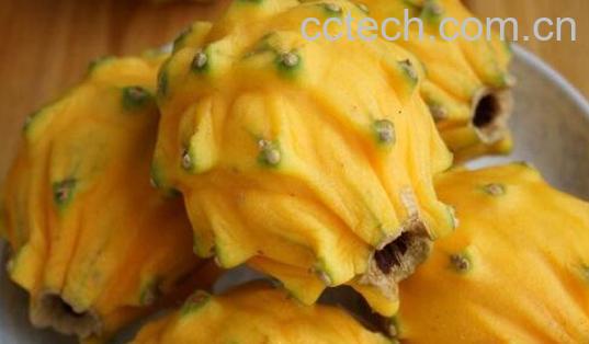 麒麟果的功效与作用及禁忌-0