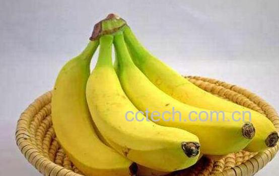 香蕉性味归经 香蕉的药用价值-1