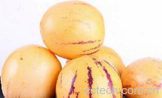 香瓜茄怎么吃 香瓜茄的食用方法-1