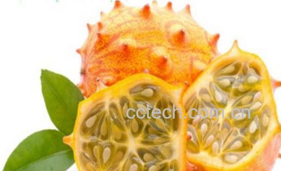 金参果的功效与作用 金参果怎么吃-0