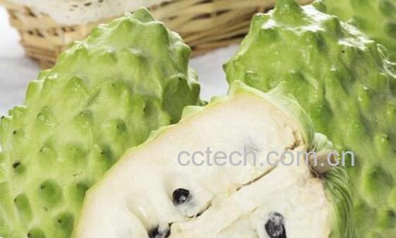 千万不要吃释迦果 释迦果为什么不能吃-1