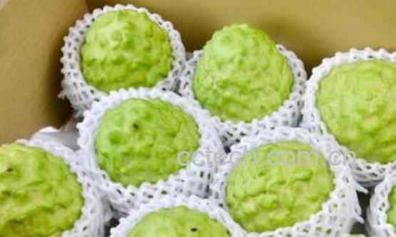 千万不要吃释迦果 释迦果为什么不能吃-0