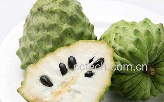 为什么男孩不能吃释迦 释迦什么人不能吃-1