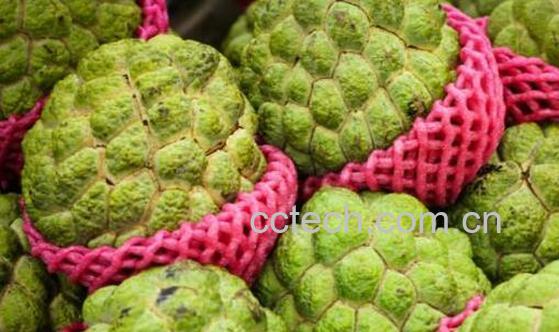 为什么男孩不能吃释迦 释迦什么人不能吃-0