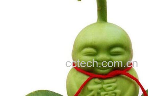 福娃人参果怎么吃图解-0