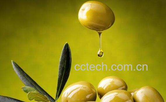 女人吃橄榄的好处有哪些 -1