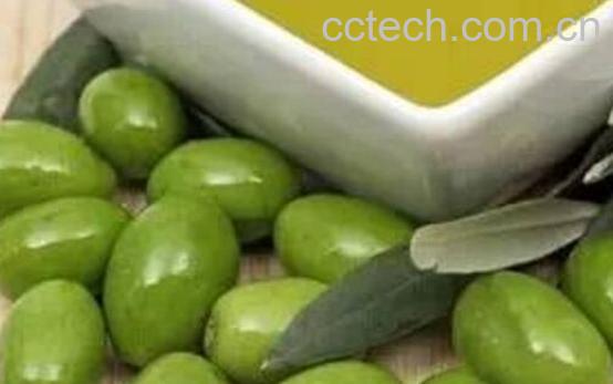 橄榄果怎么吃最好 橄榄果的吃法技巧-1