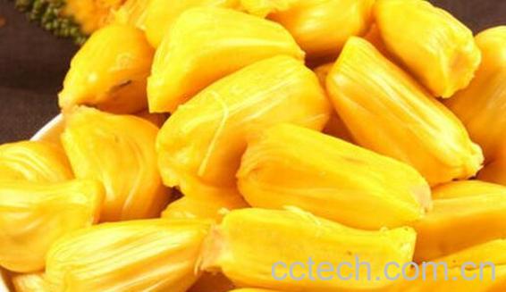 菠萝蜜的功效与作用 吃菠萝蜜的副作用-0