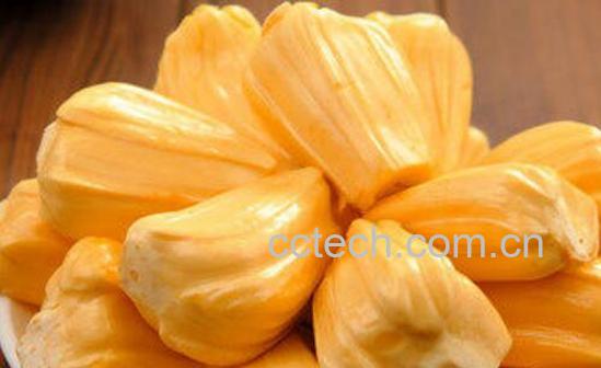 菠萝蜜的功效与作用 吃菠萝蜜的副作用-1