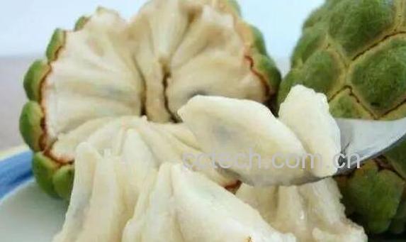 番荔枝哪些人不能吃 番荔枝的食用禁忌-0