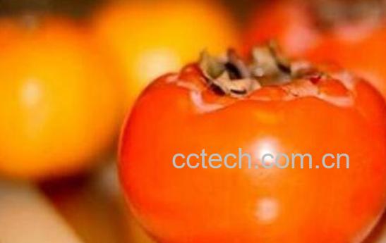 柿子和什么不能一起吃 柿子的食用禁忌-1