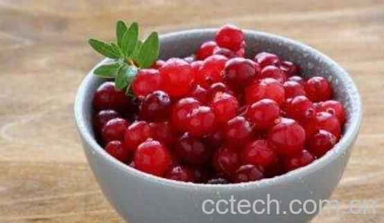 蔓越莓的功效与禁忌 蔓越莓哪些人不能吃-1