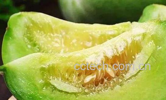 绿宝石瓜的功效与作用-0