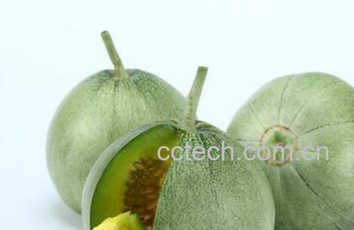 绿宝石瓜的功效与作用-1