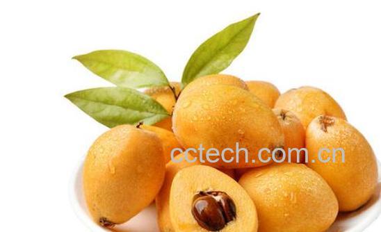 枇杷果是热性还是凉性 吃枇杷果的好处与坏处-0