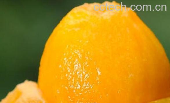 枇杷果是热性还是凉性 吃枇杷果的好处与坏处-1