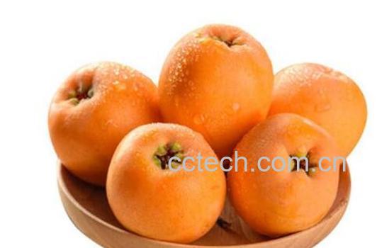 枇杷果怎么吃效果最好-0