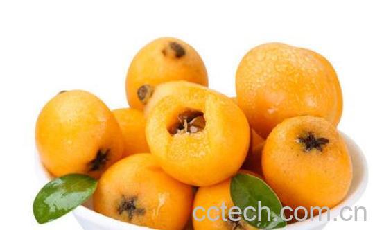 枇杷果怎么吃效果最好-1