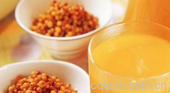 沙棘汁的功效与作用 沙棘汁的禁忌-0