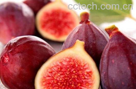 5种人不能吃无花果 吃无花果的禁忌有哪些-0