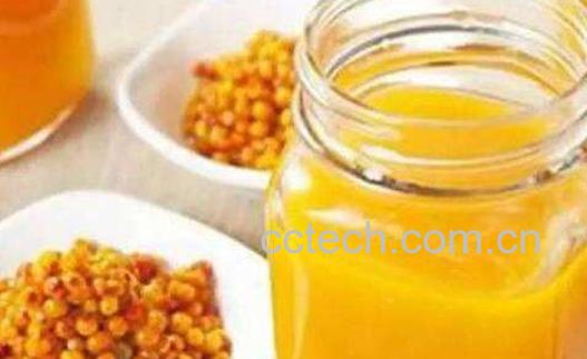 沙棘汁的功效与作用 坚持喝沙棘汁的好处-1