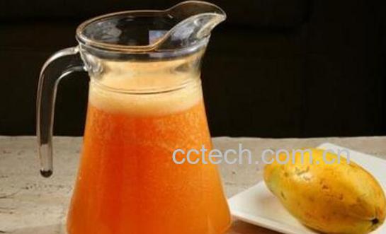 木瓜怎么榨汁好喝 木瓜汁的正确做法-1