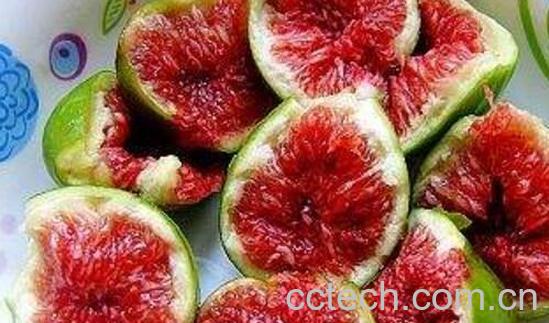 无花果汁的功效与作用及禁忌-1