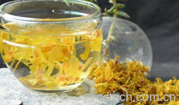 石斛花的功效与作用及禁忌-0