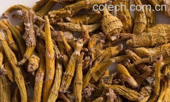 虎牙石斛怎样吃 虎牙石斛的食用方法-1