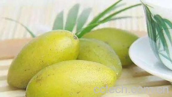 甜橄榄果的功效与作用-1