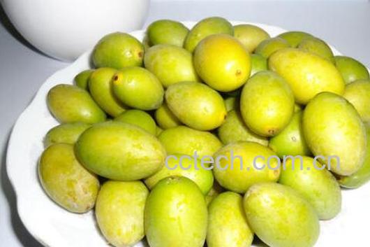 新鲜甜橄榄的功效与作用 甜橄榄吃了有什么好处-0