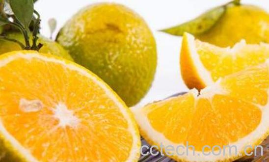桔柚的营养价值和功效-0