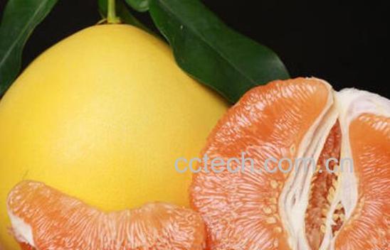水果柚子的功效与作用-1