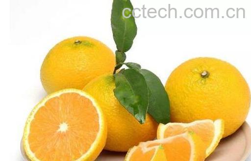 桔柚的营养价值和功效-1