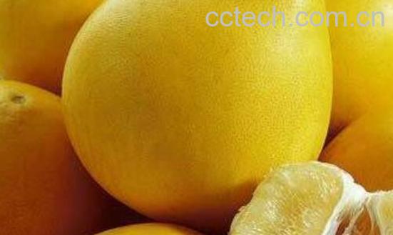 长期吃柚子的功效与作用-0