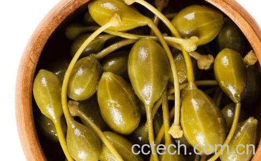 刺山柑的功效与作用-0