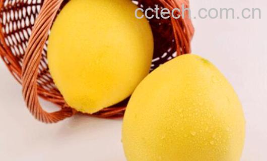 苦柚子的功效与禁忌-0