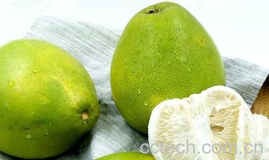 苦柚子的功效与禁忌-1