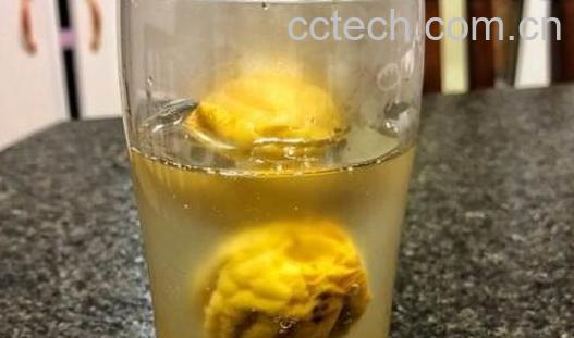 醋泡青梅如何保存 醋泡青梅可以存放多久-0