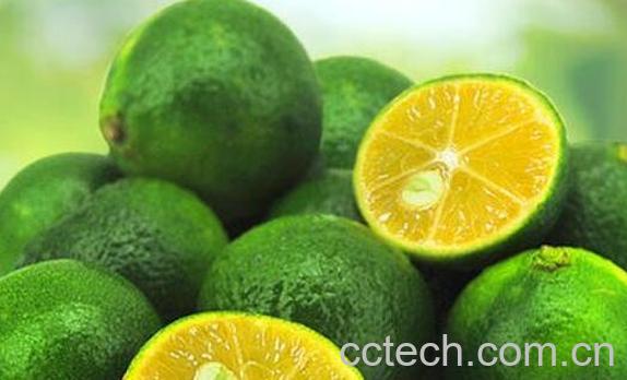 青桔的功效与作用禁忌-0