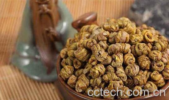 女人吃石斛的好处与害处-0