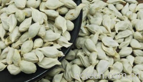 熟橘子籽粉的功效与作用-0