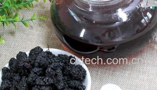 黑果泡酒的功效与作用 黑果的食用方法-0