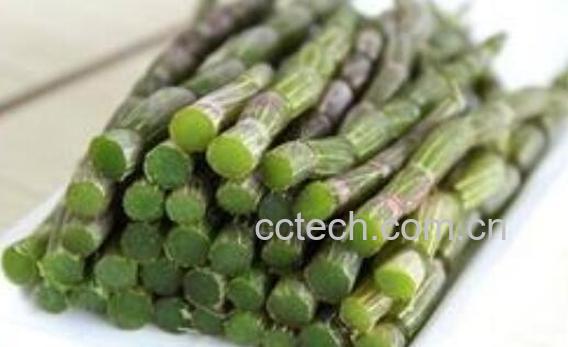 鲜石斛的功效与作用及食用方法-0