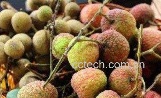 女人必吃的暖宫水果-1