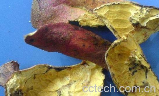 石榴皮泡水喝有什么功效 石榴皮泡水喝的禁忌-1