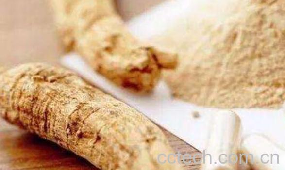 西洋参石斛粉的功效与作用-0